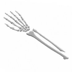 Emblém 3D samolepící "Skeleton Arm" (paže), chrom