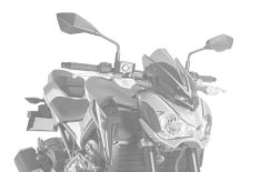 PUIG Plexi štít New Generation Sport Kawasaki Z900 (17-19). karbonový vzhled